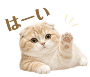 843291115