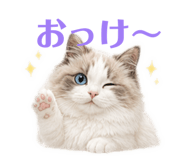 843291121