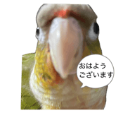 843291221