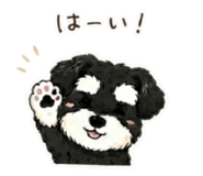 843291233