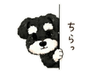 843291236