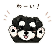 843291243