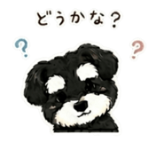 843291247