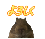 843291358