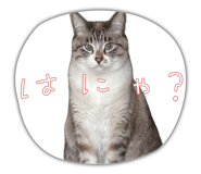 843291636