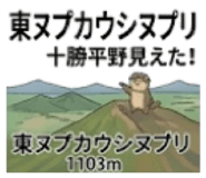 843291950