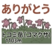 843291982