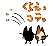 843292055