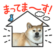 843292092
