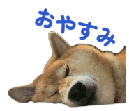 843292096