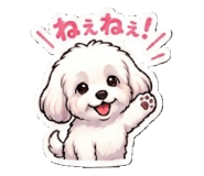 843292240