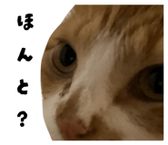 843292261