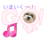 843292314