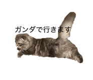 843292349