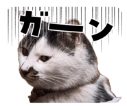 843292373