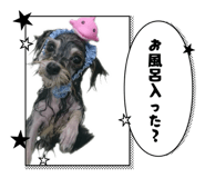 843292532