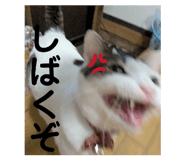 843292872