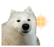 843293210