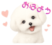 843293225
