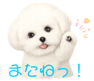 843293230