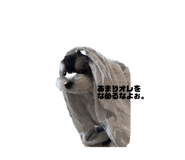 843293297