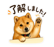 843293338