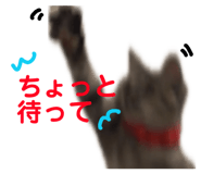 843293715