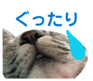 843293717