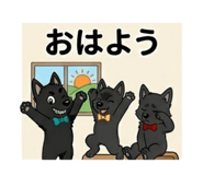 843293729