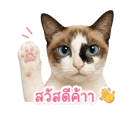 843294577