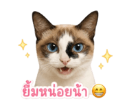843294582