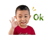 843294993