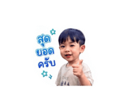 843295117