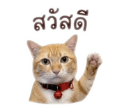 843295817