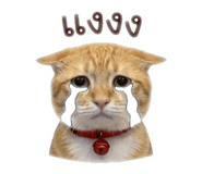 843295826