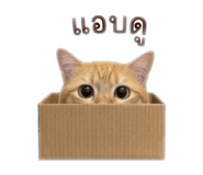 843295829