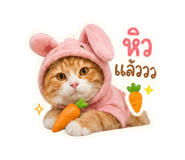 843296469