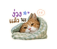 843296471