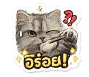 843297067