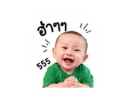 843297426