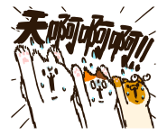 843300816