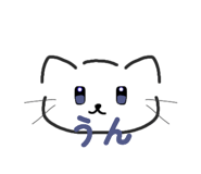 843300894