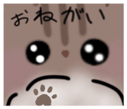 843300961
