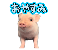 843301471