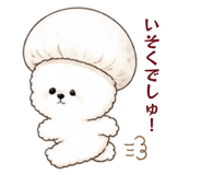 843301516