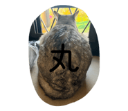 843301652