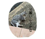 843301655