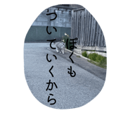 843301665