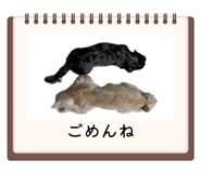 843301835