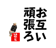 843301977